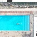 콜라니티다 이미지