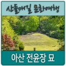 석인1리 | 아산 전윤장 묘, 두 번의 호종
