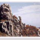 금산-38 이미지