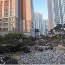 호반써밋공인중개사사무소 | 검단신도시 호반써밋 전월세 고민 해결, 다드림공인중개사사무소의 특별한 약속!