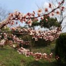 학명미술관 이미지