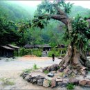 금광장여관 이미지