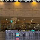 금정스카이(헬퍼스하이) | 아이들과 함께 4인 가족의 갓벽했던 제주 당일치기 후기 ✈️ (김포공항 주차대행, 억새, 귤 밭 체험)