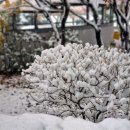 산업보안 행정사사무소 이미지