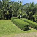 라오 (LAO) 이미지