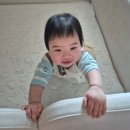 신생아 침대 졸업시기, 3개월 아기 침대 바꾸기 | 벨라 원목침대 → 키디몽드 데이베드 (내돈내산)