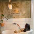 멀왓스테이 이미지