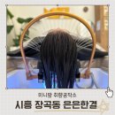 은은한결