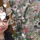 숲속 아지트 이미지