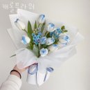 캐롤플라워