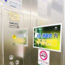 여수노블호텔 네이버블로그