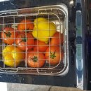 주식회사 팩토리얼홀딩스 이미지