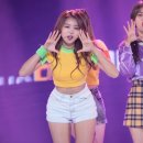임나영 카카오 검색결과