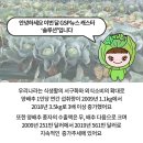 사계절 솔루션