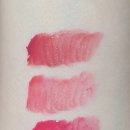 포쉬퍼피 이미지