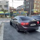헬로우댕댕