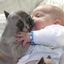 아기천사 이미지