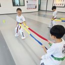 리틀아이 태권도장 이미지