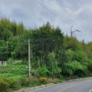 주천면 하송마을 이미지