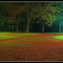 나무이야기 이미지