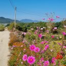 진농축산 이미지