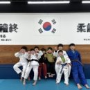 트윈스스타유도
