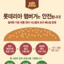 롯데리아 신안점 이미지