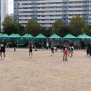 하천1 | 2025 의정부 하천 마라톤 전국대회 10월 25일 후기 대회사진 업데이트.