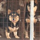 박완주농장 이미지