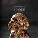 본누벨