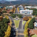 [원,투룸 무료소개]대구가톨릭대, 13년째 등록금 동결 이미지