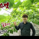 흥농상회 이미지