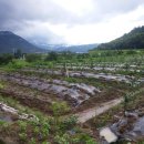 세찬농장 이미지