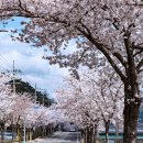 용두교 입구 이미지