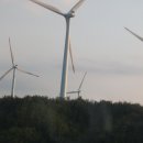 해맞이태양광발전소 이미지