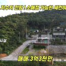 316-2-000005 네이버블로그