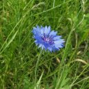 숨결이 바람 되어 이미지