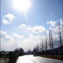 비야비야 이미지