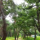 기계서숲 화장실 이미지