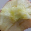 한솔농장 이미지