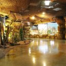 힐링밸리민박 이미지