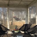 정글바베큐 | 도심에서 즐길 수 있는 인천캠핑식당 <정글바베큐> 후기