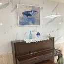 스테이해봄 이미지