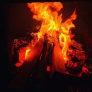 강릉외갓집 이미지