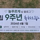 늘푸르게