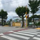 백사초 정문 이미지