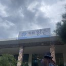 대원사정류장 | 대원사 정류장 근처 카페 맑은 후기 [내돈내산]