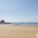 꽃향기바다소리