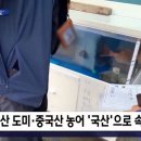 흑산도홍어 이미지
