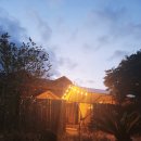 캠핑트리펜션 이미지